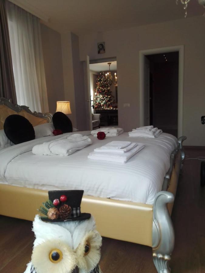 מלון Rîşnov Casa Maria Roses מראה חיצוני תמונה