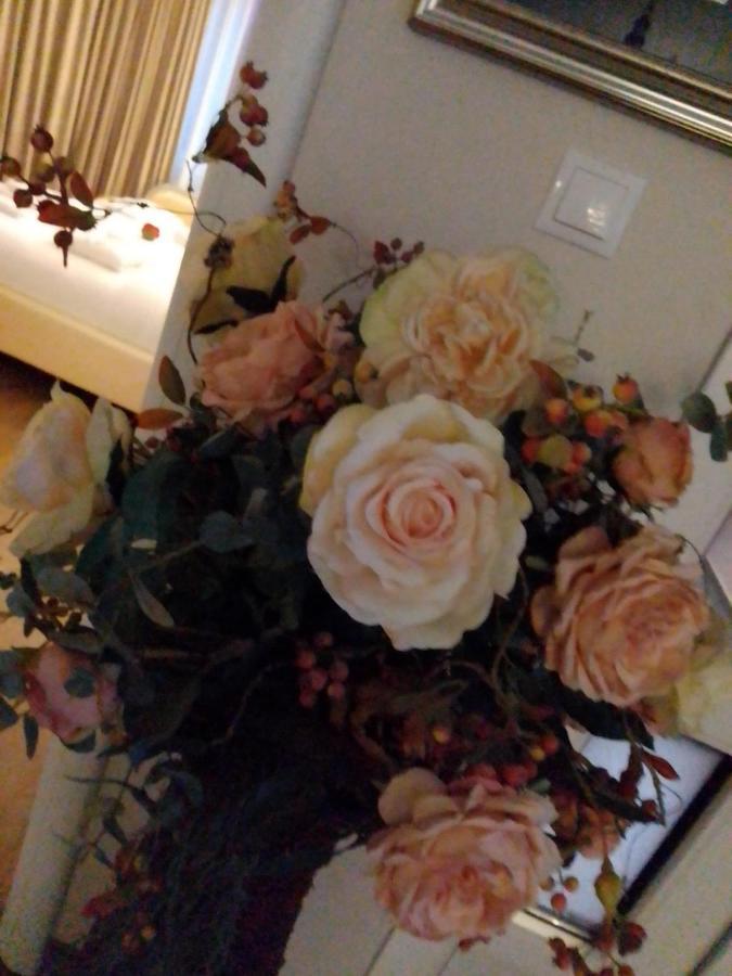 מלון Rîşnov Casa Maria Roses מראה חיצוני תמונה