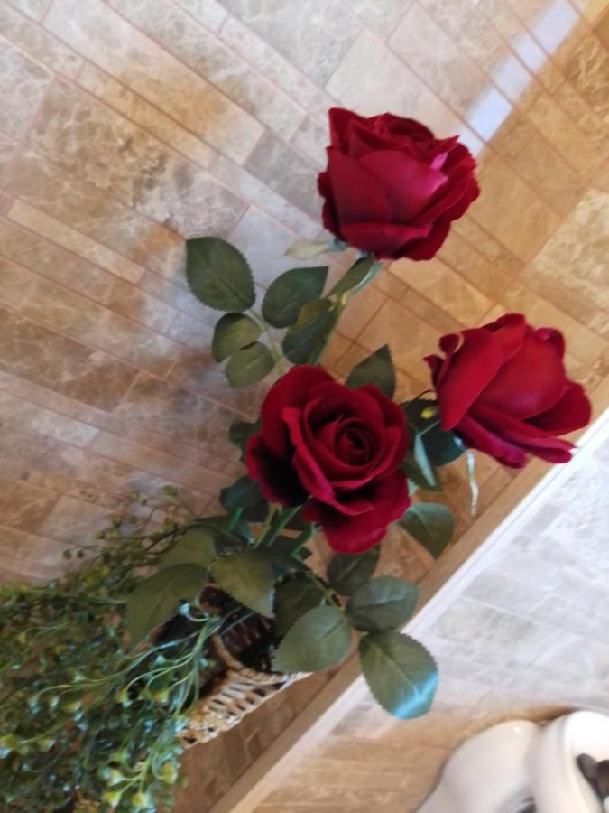 מלון Rîşnov Casa Maria Roses מראה חיצוני תמונה