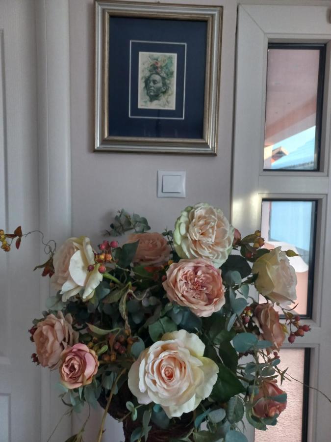 מלון Rîşnov Casa Maria Roses מראה חיצוני תמונה
